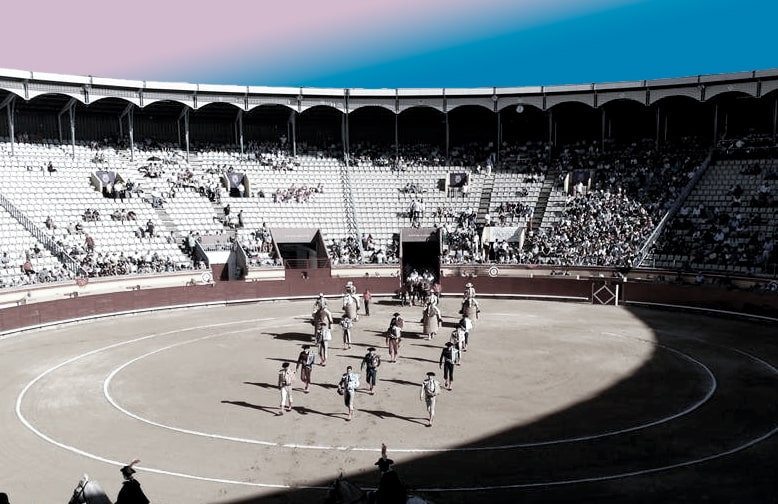 Toros en Palencia
