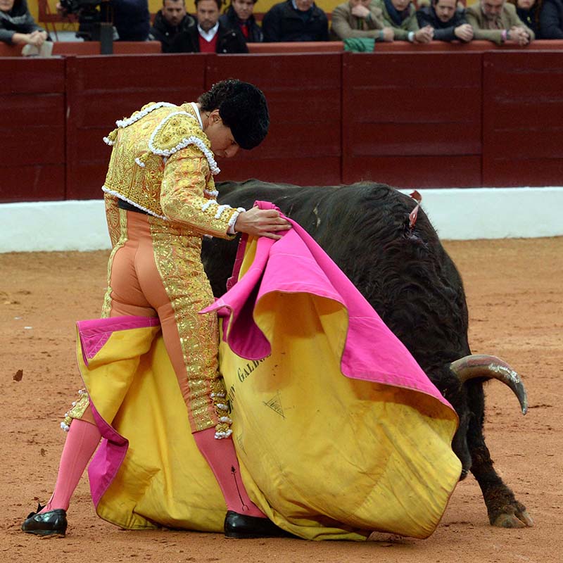 Feria de olivenza 2024