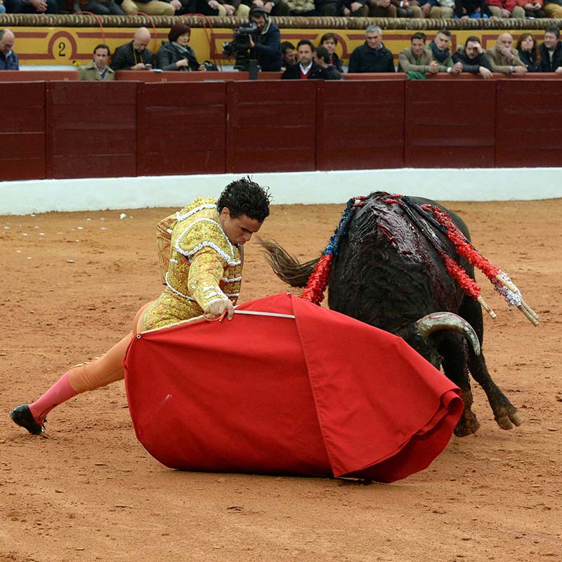 feria taurina de Olivenza