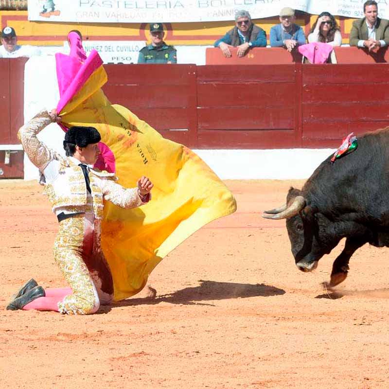 Corrida de toros Olivenza