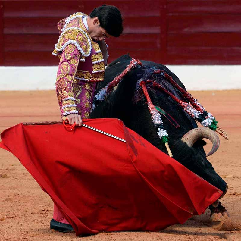 feria de Olivenza