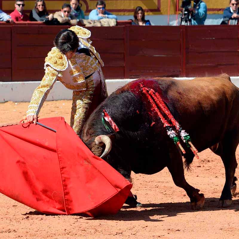 Plaza toros Olivenza