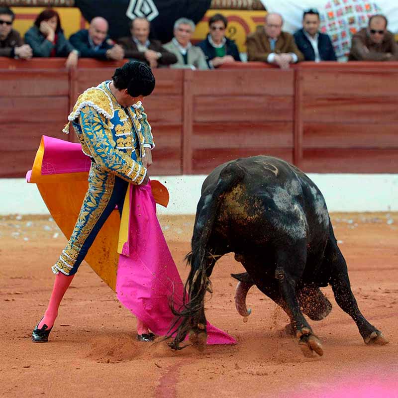 toros Olivenza