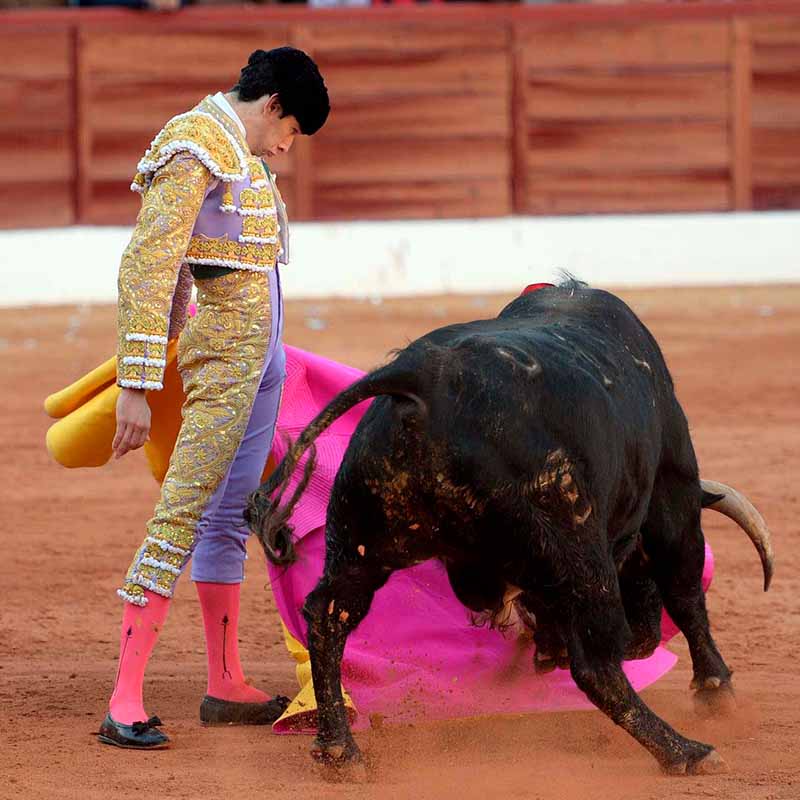 TOROS EN OLIVENZA