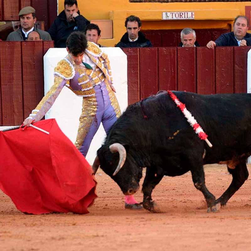 Plaza toros Olivenza