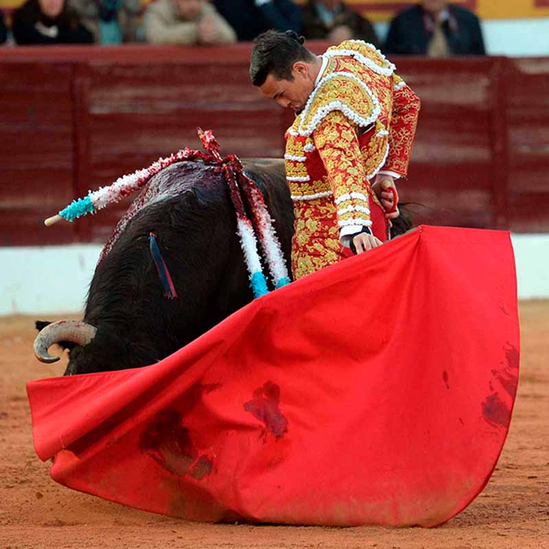 José María Manzanares en Olivenza