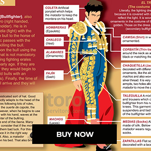 step by step of a bullfight